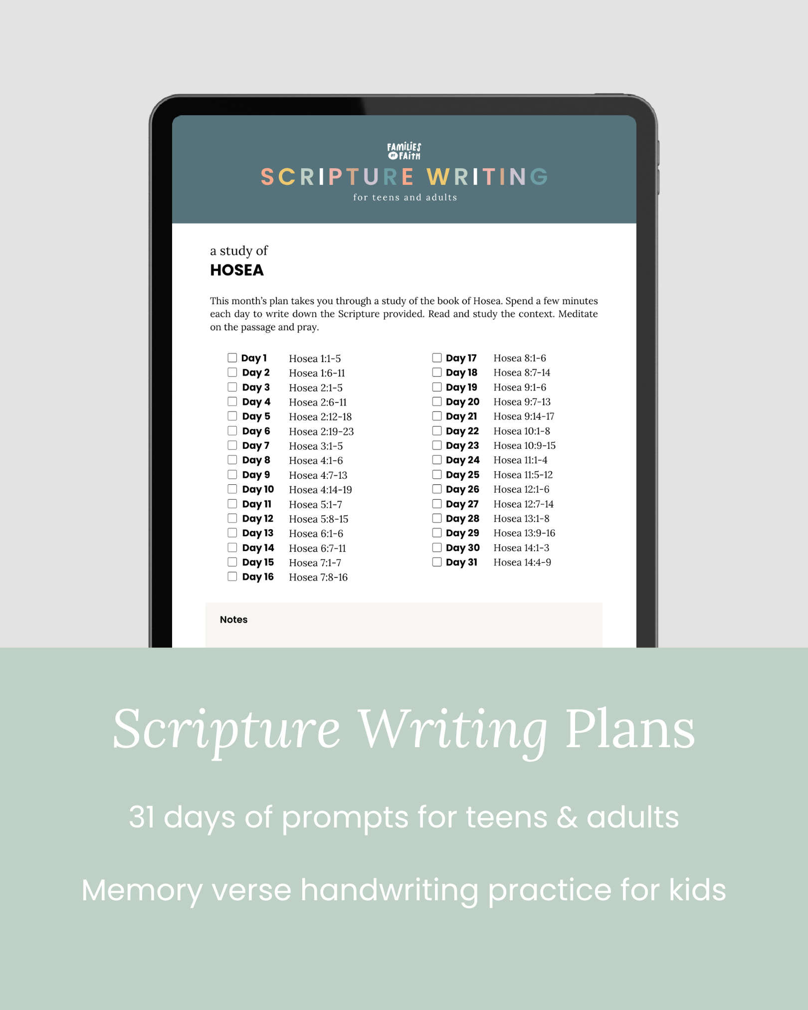 Divided Kingdom of Israel Bible Study Kit