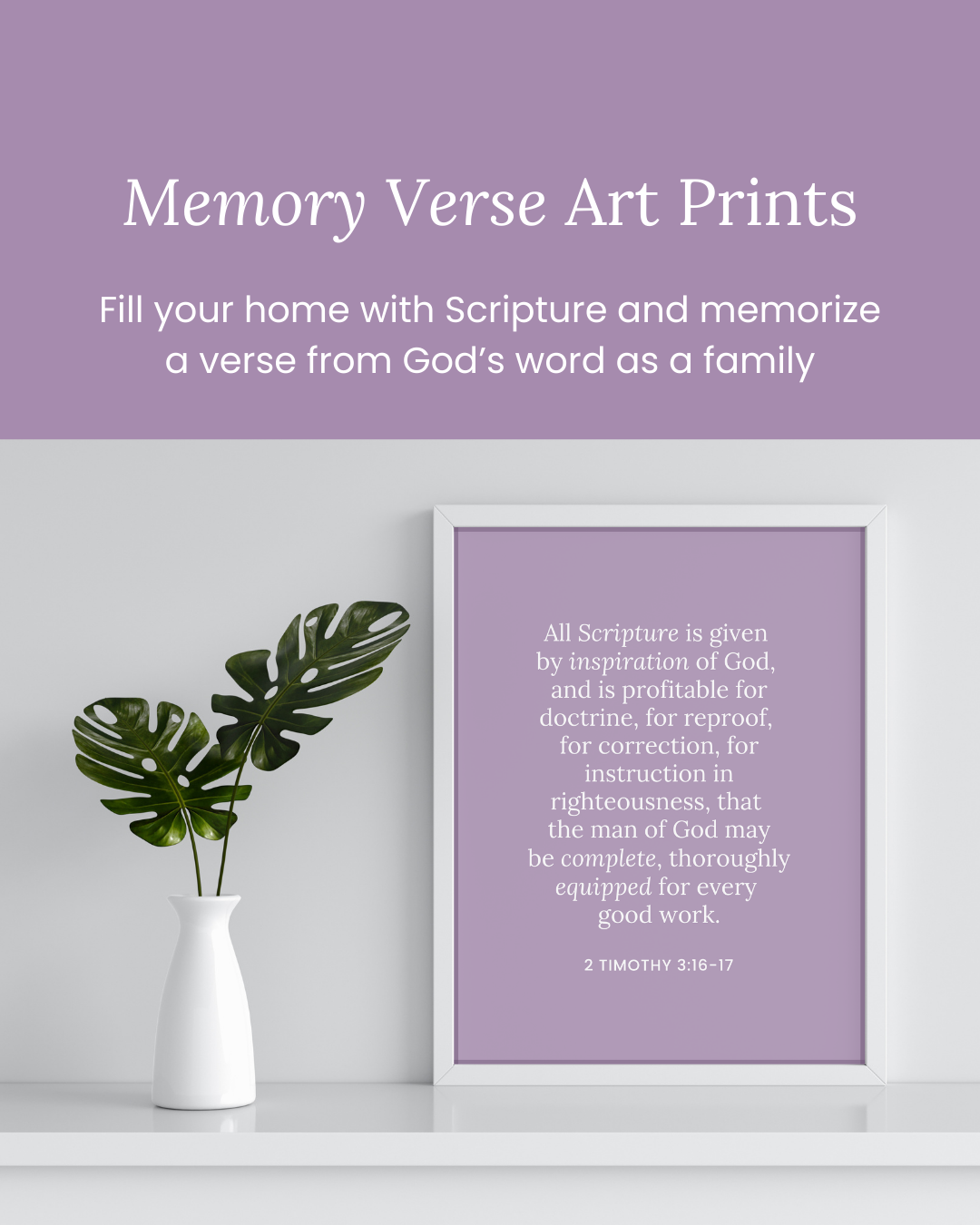 Letters to Christians Bible Study Kit