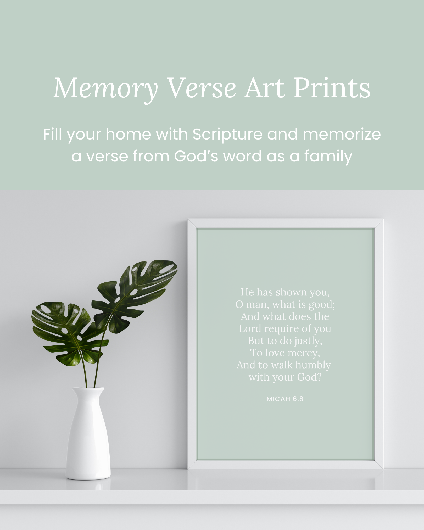 Divided Kingdom of Israel Bible Study Kit