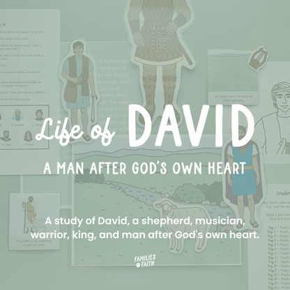 Life of David Bible Study Kit