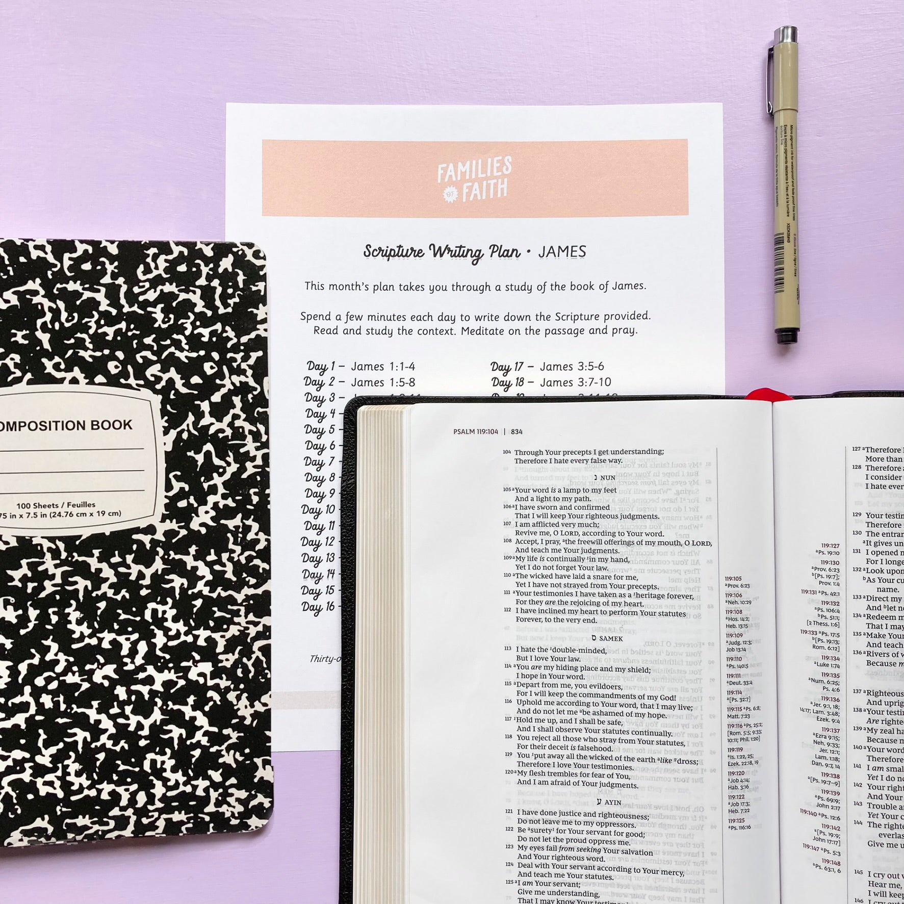 James Scripture Writing Plan
