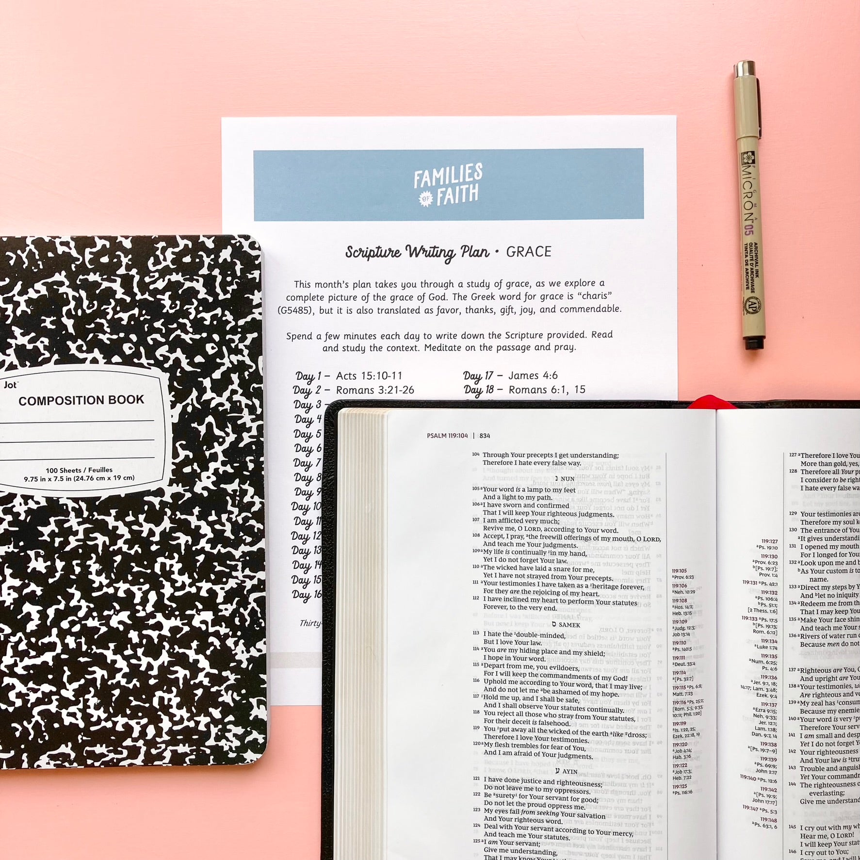 Noah and the Flood Bible Study Kit