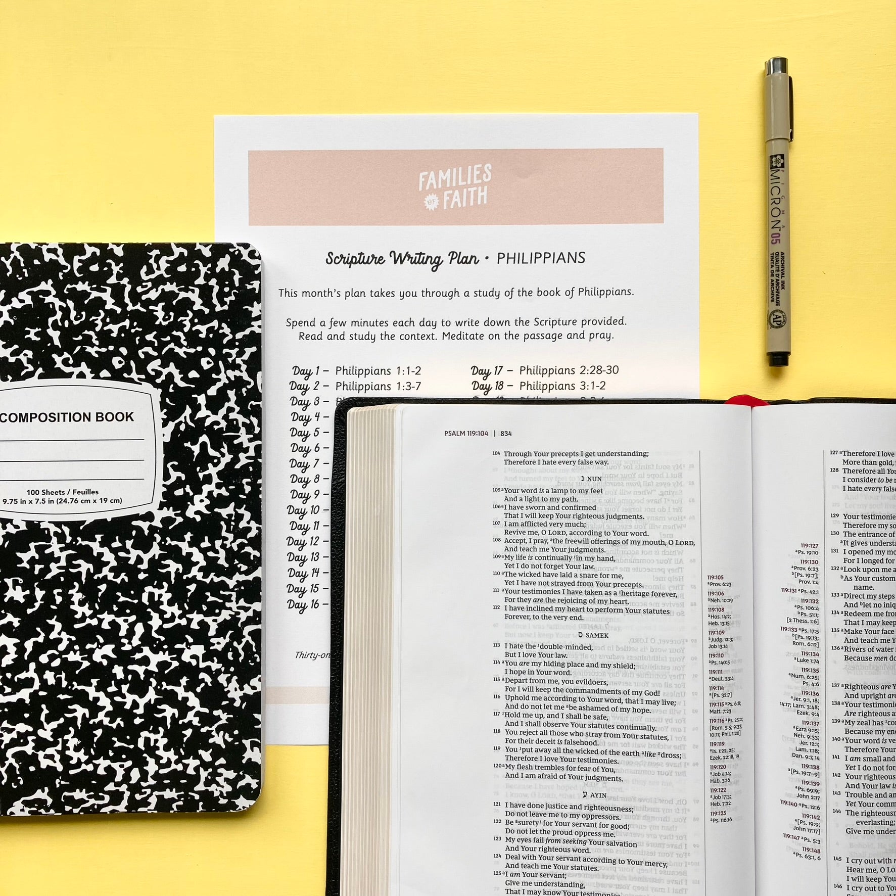 Conquest of Canaan Bible Study Kit