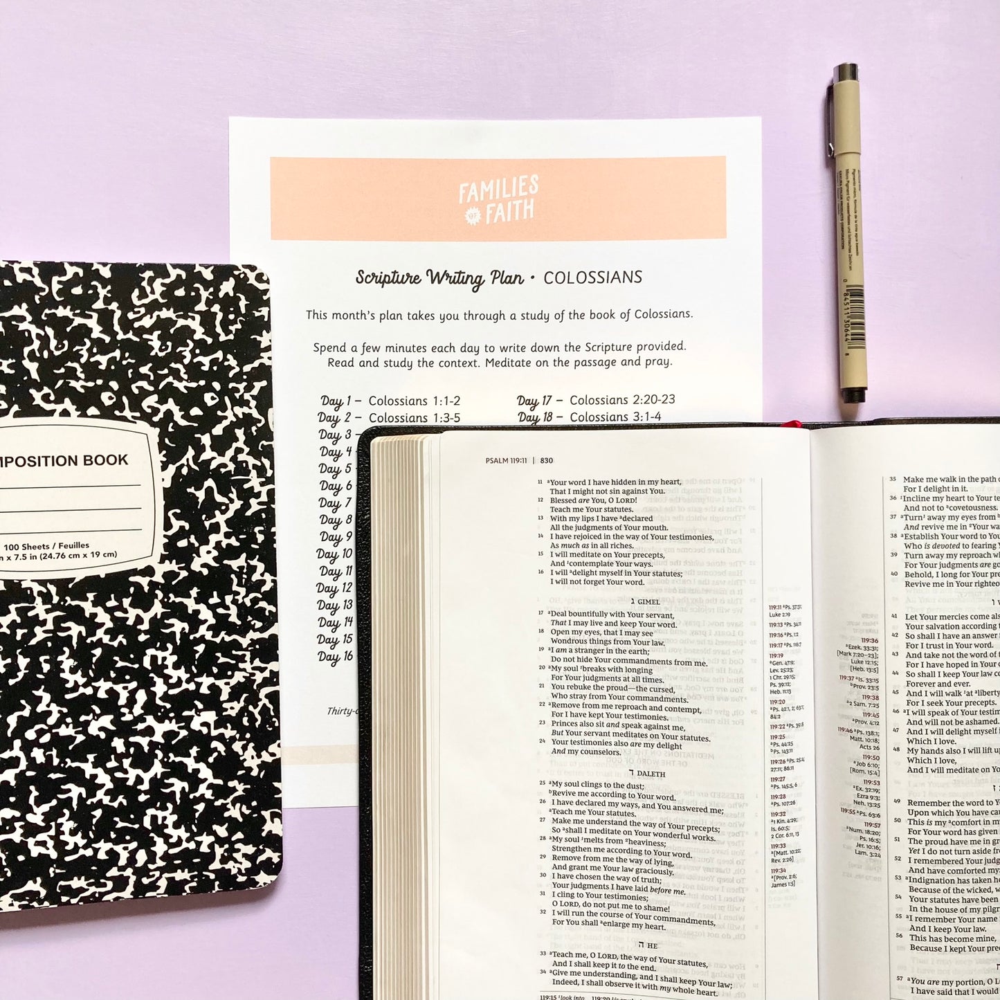 Life of Saul Bible Study Kit