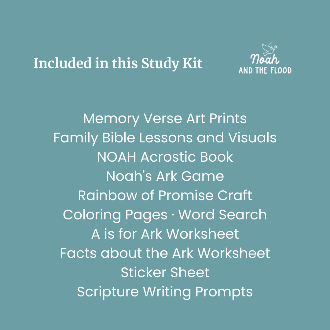 Noah and the Flood Bible Study Kit