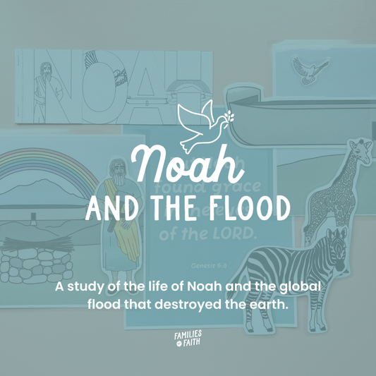 Noah and the Flood Bible Study Kit