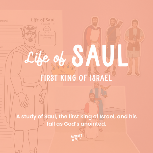 Life of Saul Bible Study Kit