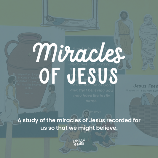 Miracles of Jesus Bible Study Kit