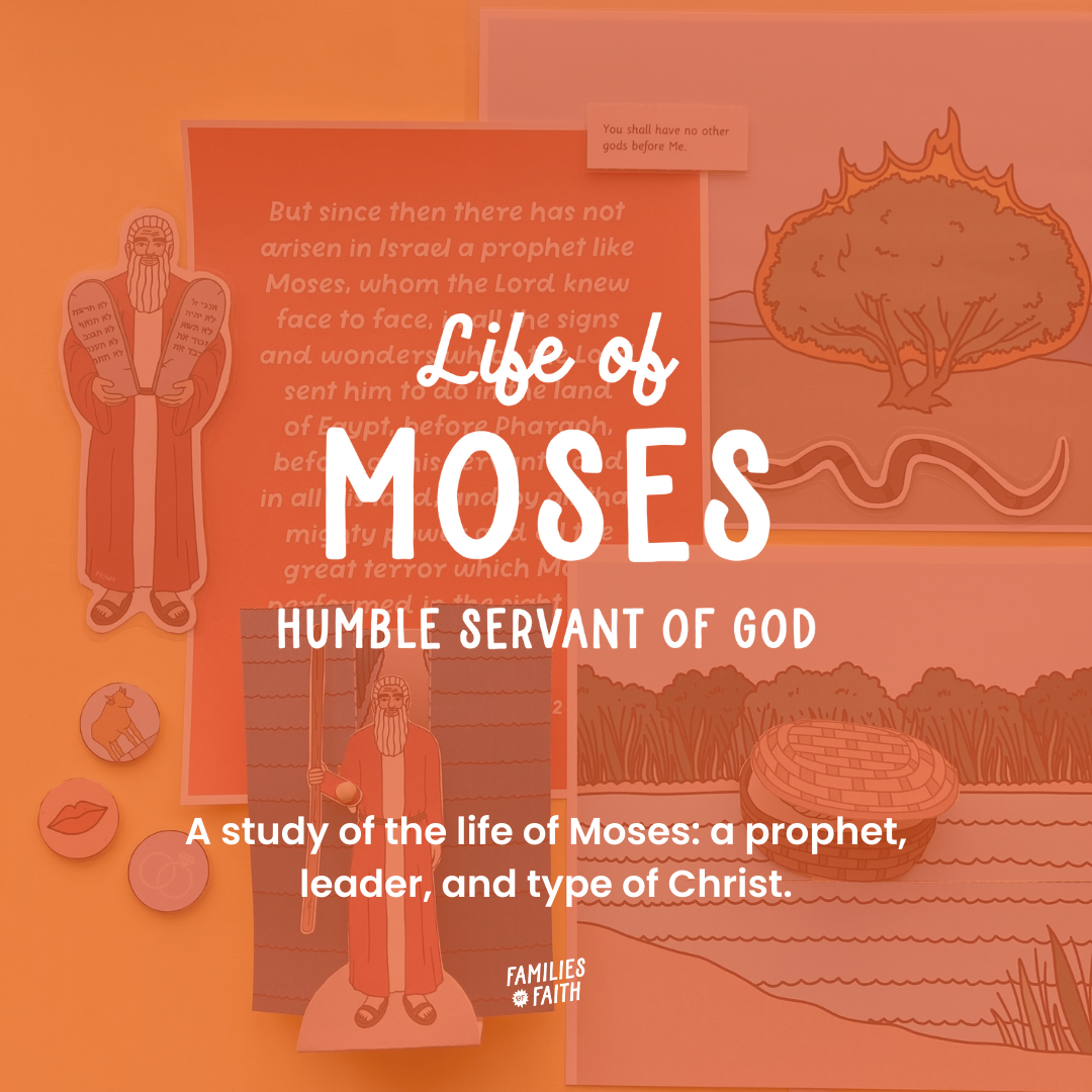 Life of Moses Bible Study Kit