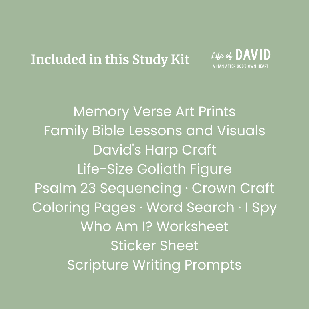 Life of David Bible Study Kit