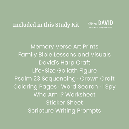 Life of David Bible Study Kit