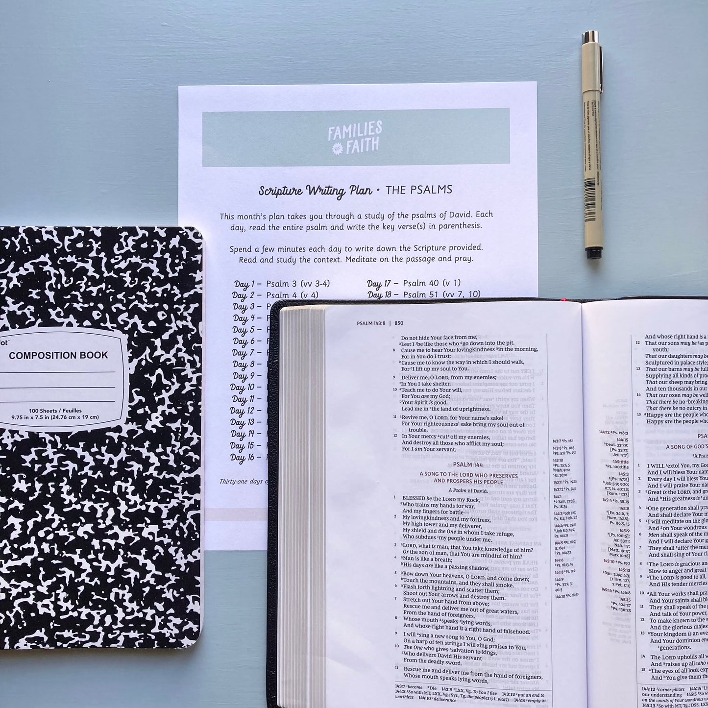 Life of David Bible Study Kit