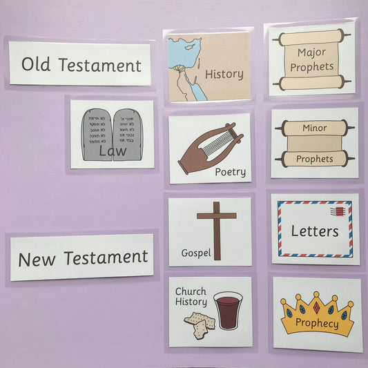 Bible Divisions Matching Game